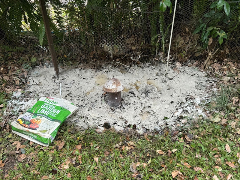 Common warning signs