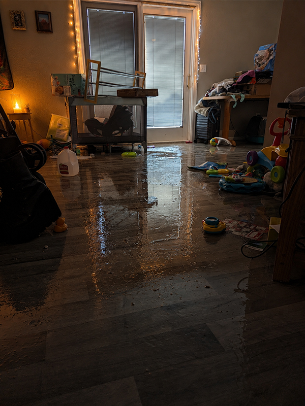 Leaks & Flooding Immediate Response